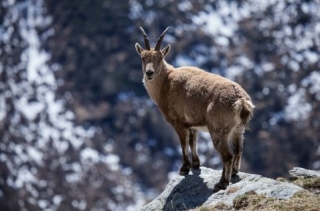 Descubrimiento de la naturaleza